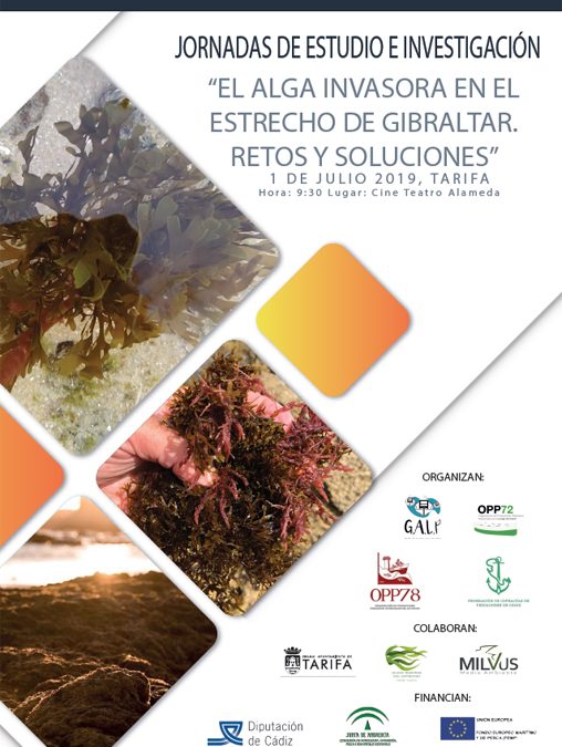Conclusiones de Las Jornadas técnicas y de investigación sobre el alga invasora del Estrecho de Gibraltar