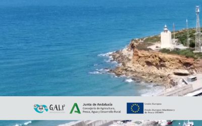Resumen de Proyectos Subvencionados por el GALP Litoral Cádiz – Estrecho (FEMP 2014 – 2020) y documentos de evaluación.