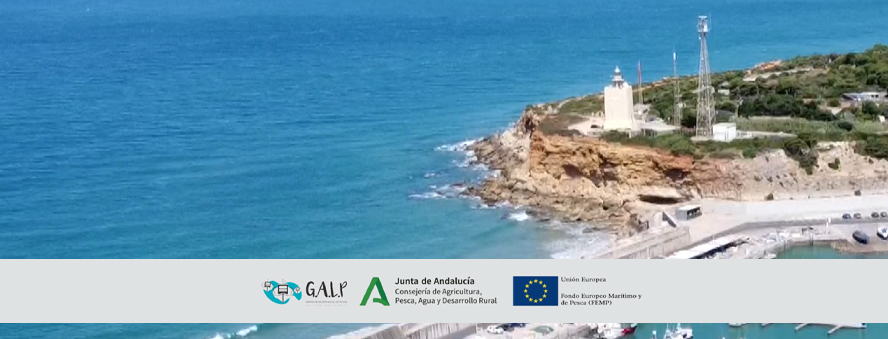 Resumen de Proyectos Subvencionados por el GALP Litoral Cádiz – Estrecho (FEMP 2014 – 2020) y documentos de evaluación.